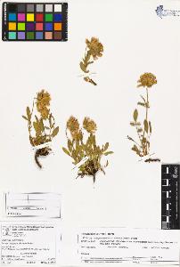 SW_BNB_s3070-03296_IMG-0000000001