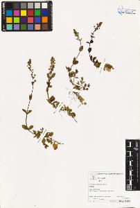 SW_BNB_s3070-03300_IMG-0000000001
