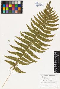 SW_BNB_s3070-03301_IMG-0000000001