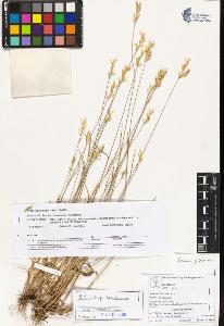SW_BNB_s3070-03303_IMG-0000000001