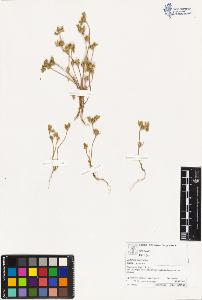 SW_BNB_s3070-03304_IMG-0000000001
