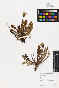 SW_BNB_s3070-03305_IMG-0000000001