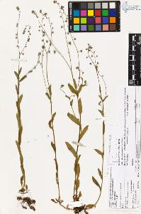 SW_BNB_s3070-03306_IMG-0000000001