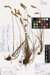 SW_BNB_s3070-03307_IMG-0000000001
