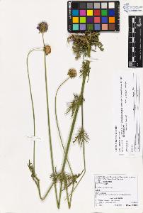 SW_BNB_s3070-03310_IMG-0000000001