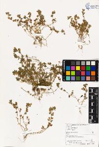 SW_BNB_s3070-03311_IMG-0000000001