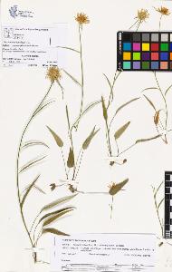 SW_BNB_s3070-03313_IMG-0000000001