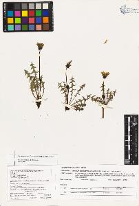 SW_BNB_s3070-03314_IMG-0000000001