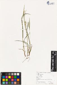 SW_BNB_s3070-03316_IMG-0000000001