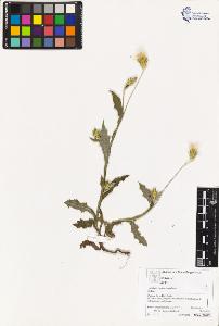 SW_BNB_s3070-03317_IMG-0000000001