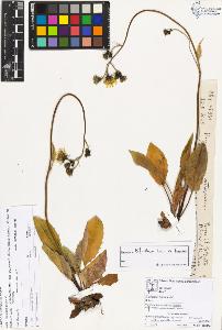 SW_BNB_s3070-03318_IMG-0000000001