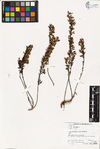 SW_BNB_s3070-03322_IMG-0000000001