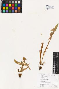 SW_BNB_s3070-03323_IMG-0000000001
