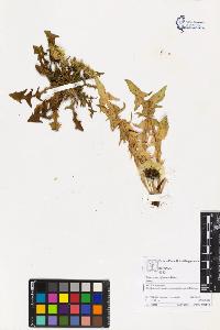 SW_BNB_s3070-03325_IMG-0000000001