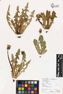 SW_BNB_s3070-03327_IMG-0000000001