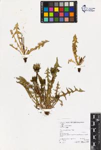 SW_BNB_s3070-03328_IMG-0000000001