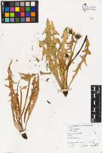 SW_BNB_s3070-03329_IMG-0000000001