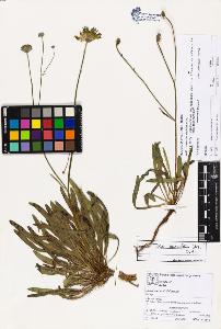 SW_BNB_s3070-03330_IMG-0000000001