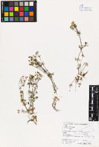 SW_BNB_s3070-03331_IMG-0000000001