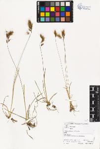 SW_BNB_s3070-03333_IMG-0000000001