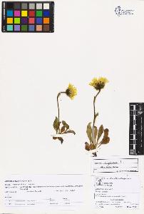 SW_BNB_s3070-03335_IMG-0000000001