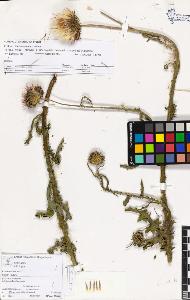 SW_BNB_s3070-03336_IMG-0000000001