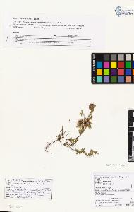 SW_BNB_s3070-03337_IMG-0000000001