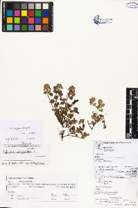 SW_BNB_s3070-03338_IMG-0000000001