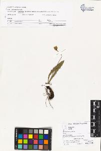 SW_BNB_s3070-03342_IMG-0000000001