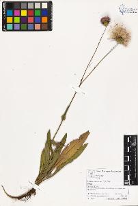 SW_BNB_s3070-03345_IMG-0000000001