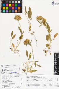 SW_BNB_s3070-03351_IMG-0000000001