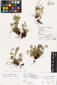 SW_BNB_s3070-03353_IMG-0000000001