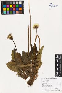 SW_BNB_s3070-03356_IMG-0000000001