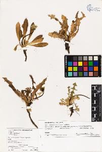 SW_BNB_s3070-03357_IMG-0000000001