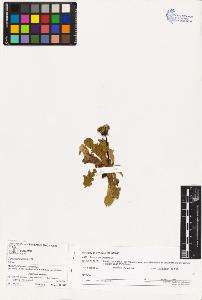 SW_BNB_s3070-03360_IMG-0000000001