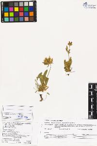 SW_BNB_s3070-03362_IMG-0000000001