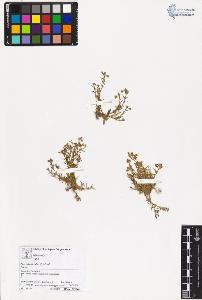 SW_BNB_s3070-03363_IMG-0000000001