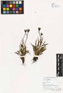 SW_BNB_s3070-03365_IMG-0000000001