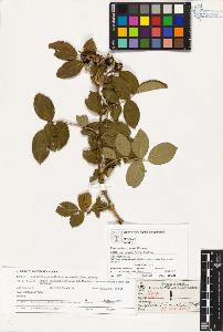 SW_BNB_s3070-03367_IMG-0000000001