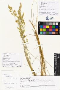 SW_BNB_s3070-03369_IMG-0000000001