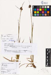 SW_BNB_s3070-03371_IMG-0000000001