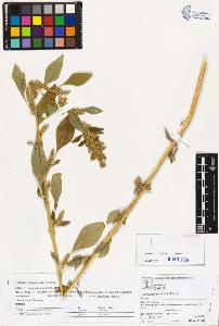SW_BNB_s3070-03374_IMG-0000000001
