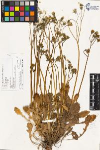 SW_BNB_s3070-03381_IMG-0000000001