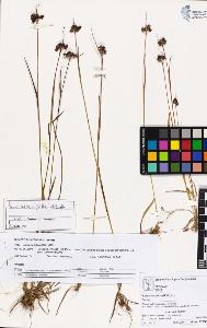 SW_BNB_s3070-03384_IMG-0000000001