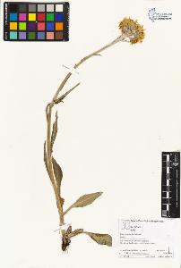 SW_BNB_s3070-03386_IMG-0000000001