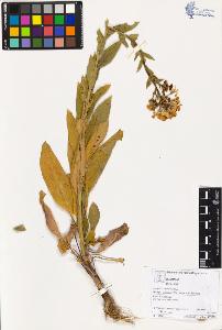 SW_BNB_s3070-03387_IMG-0000000001
