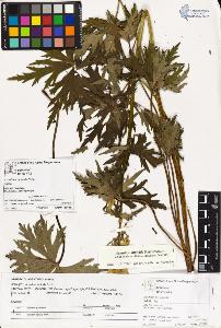 SW_BNB_s3070-03388_IMG-0000000001