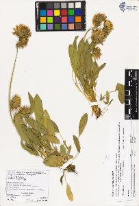 SW_BNB_s3070-03391_IMG-0000000001