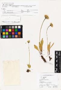 SW_BNB_s3070-03397_IMG-0000000001