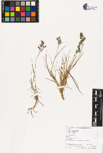 SW_BNB_s3070-03399_IMG-0000000001